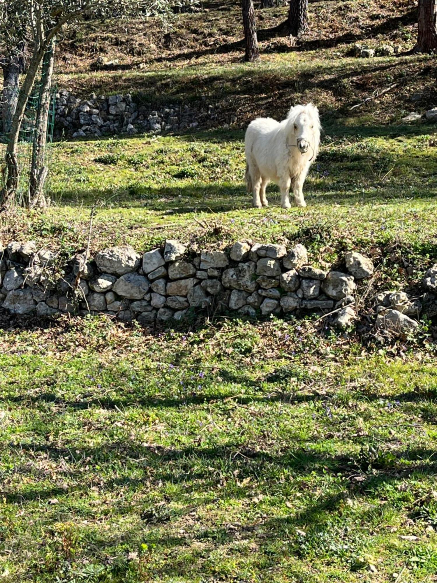 Les Genets Villa Fayence Buitenkant foto