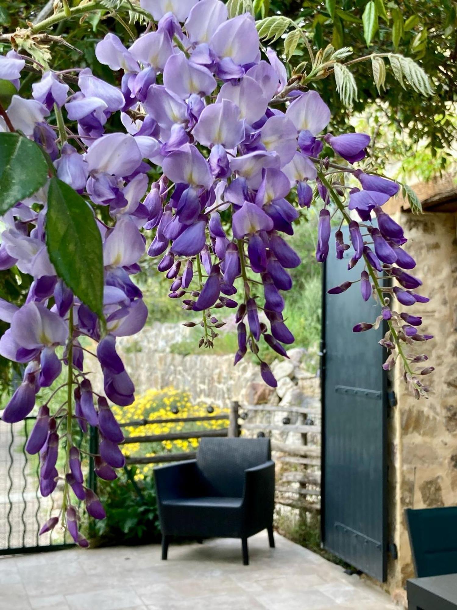 Les Genets Villa Fayence Buitenkant foto